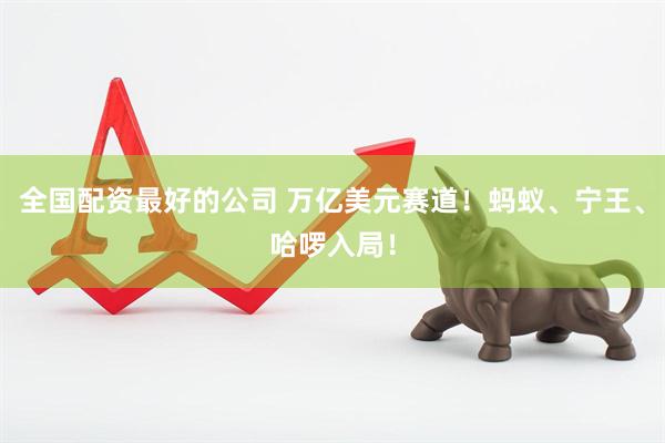 全国配资最好的公司 万亿美元赛道！蚂蚁、宁王、哈啰入局！