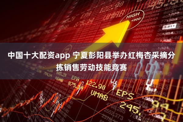 中国十大配资app 宁夏彭阳县举办红梅杏采摘分拣销售劳动技能竞赛